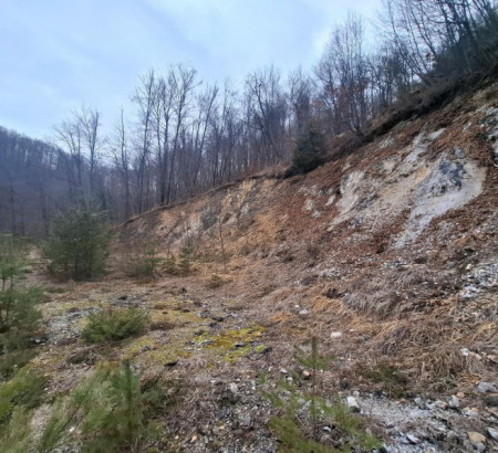 Stavbno zemljišče, gozd, Ravno Brdo, 1000 Ljubljana