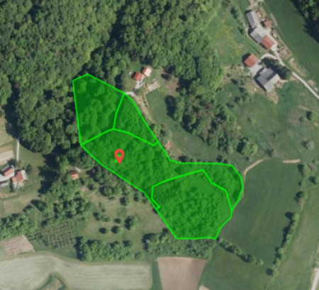 Stavbno zemljišče, kmetijsko zemljišče, gozd, Jerčin, 3253 Pristava pri Mestinju