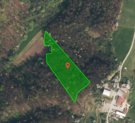 Gozd št. 4, Mala Hubajnica, 8293 Studenec
