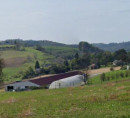 Kmetija, Zgornja Voličina, 2232 Voličina