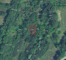 Gozd št. 4, Roč, 52425 Roč