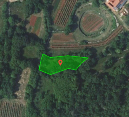 Kmetijsko zemljišče št. 1, Veliki Dol, 6221 Dutovlje