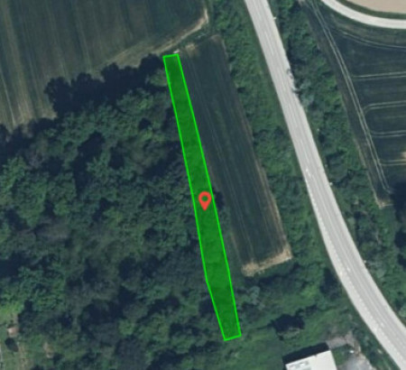 Gozd, Opekarniška cesta, 2270 Ormož