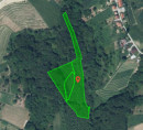 Gozd, kmetijsko zemljišče, Lahonci, 2259 Ivanjkovci