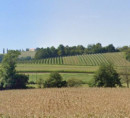 Kmetijsko zemljišče, Libanja, 2259 Ivanjkovci