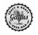 Blagovna znamka: Gallus Craft & Draft Beer - Bar