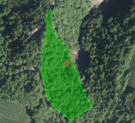 Gozd št. 2 - v deležu ⅓, Dobovec, 1423 Dobovec