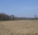 Kmetijska zemljišča - v deležu ½, Pristava, 9240 Ljutomer