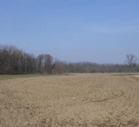 Kmetijska zemljišča - v deležu ½, Pristava, 9240 Ljutomer