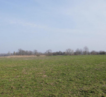 Kmetijsko zemljišče, gozd - v deležu ½, Pristava, 9240 Ljutomer