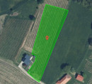Kmetijsko zemljišče, stavbno zemljišče - v deležu 10/4342, Murski Vrh, 9252 Radenci