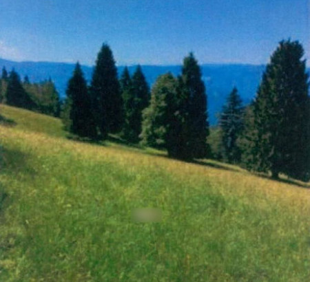 Kmetijska zemljišča, stavbna zemljišča, gozdovi - v deležu ½, Bukovo, 5282 Cerkno