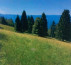 Kmetijska zemljišča, stavbna zemljišča, gozdovi - v deležu ½, Bukovo, 5282 Cerkno