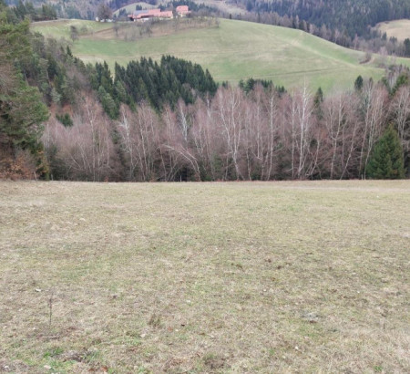 Gozd, kmetijsko zemljišče, Vrhe, 2380 Slovenj Gradec
