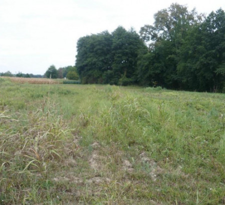 Kmetijsko zemljišče, gozd - v deležu ½, Pristava, 9240 Ljutomer