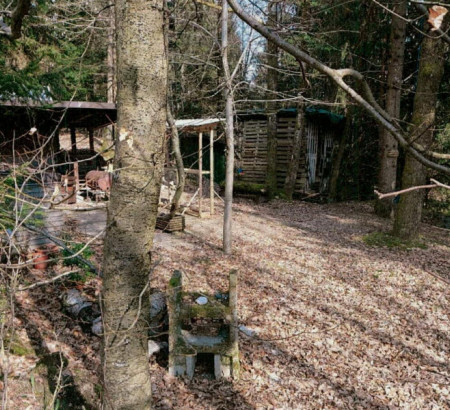 Gozd, kmetijsko zemljišče, Hruševo, 1356 Dobrova